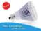 ŻARÓWKA DIODOWA E27 HIGH POWER LED PAR 22 ZIMNA