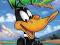 KACZOR DAFFY CZ. 2wyprzedaż DVD + gratis