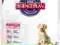 karma psa dużej rasy kurczak 1kg szczeniąt hill's