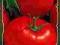 Pomidor gruntowy karłowy sztywnołodyg Betalux 1g