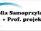 FOLIA SAMOPRZYLEPNA + PROF. PROJEKT   EXPRES