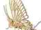 PUZZLE PRZESTRZENNE 3D MOTYL