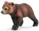 Mały Grizzly 14324 figurka Schleich