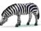 PASĄCA SIĘ ZEBRA 14609 figurka Schleich