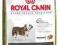 Royal Canin Bulldog 24 - 3 kg *ZW*