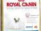 Royal Canin French Bulldog 30 Junior - 4 kg *ZW*