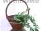 DONICA Z WIKLINY DONICZKA WIKLINOWA STOJĄCA 75cm