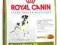 Royal Canin Great Dane 23 - 12kg *ZW*