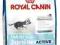 Royal Canin Maxi Junior Active - 4 kg *ZW*