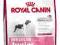 Royal Canin Medium Junior - 4 kg *ZW*