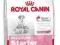 Royal Canin Medium Starter - 4 kg *ZW*