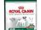 Royal Canin Mini Adult - 4 kg *ZW*