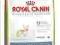 ROYAL CANIN CHihuahua 30 JUNIOR 500+ 500g