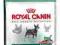 Royal Canin Mini Sensible - 2 kg *ZW*
