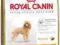 Royal Canin Poodle 30 - 1,5 kg *ZW*