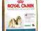 Royal Canin Shih Tzu 24 - 1,5 kg *ZW*