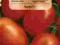 Pomidor gruntowy Surya - 0,2g - VILMORIN