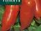 Pomidor szklarniowy Cornabel - 0,1g - VILMORIN