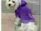 Cieply Jogger BLUZA dla psa DogsZone *PURPLE PAW*