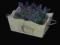 DONICZKA OSŁONKA SKRZYNKA KORYTKO LAWENDA VINTAGE