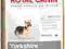 ROYAL CANIN YORKSHIRE TERRIER JUNIOR 0,5kg