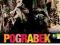 POGRABEK - DVD FOLIA