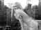 MARILYN MONROE (188) - Plakat Plakaty PGB-FP2069