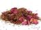 Rooibos Żurawinowy 50g WYBORNY!