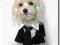 Smoking LAS VEGAS  dogszone.pl