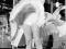 Marilyn Monroe (Skirt Up) - plakat  61x91,5 cm
