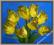 H06 Tulipan BUKIET sztuczne kwiaty Zielono Żółty