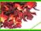 Kwiat Hibiskusa Hibiskus Herbata Hibiskus (50g)