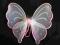 skrzydła motylka motyl urodziny motyla duże różowe