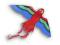 latawiec fanny parrot łatwy w kierowaniu kolorowy