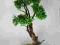drzewko bonsai sztuczne,ozdoba okna, 62 cm