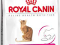 ROYAL CANIN FELINE EXIGENT 35/30 - 10KG