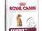 ROYAL CANIN FELINE EXIGENT AROMATIC 33 - 2x10KG