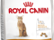 ROYAL CANIN FELINE EXIGENT PROTEIN 42 - 10KG