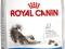 ROYAL CANIN FELINE INDOOR LONG HAIR 35 - 2x10KG