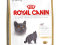 ROYAL CANIN FELINE BRITISH SHORTHAIR 34 - 2x10KG