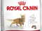 ROYAL CANIN FELINE FIT 32 - 2x10KG