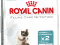 ROYAL CANIN FELINE INTENSE HAIRBALL 34 - 2x10KG