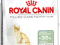 ROYAL CANIN FELINE DIGESTIVE 10KG