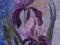Irys,obraz olejny 50x70
