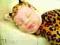 Śpiący leopard - Lalka Anne Geddes 22cm