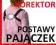 Prawdziwy Korektor Postawy dla DZIECI - PAJĄCZEK !