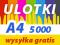 ULOTKI A4 5000 sztuk 135g DWUSTRONNE ulotka kolor.