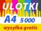 ULOTKI A4 5000 sztuk 135g DWUSTRONNE ulotka kolor.