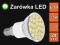 Żarówka E14 24 LED SMD - biała ciepła 300lm