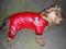 WYPRZEDAŻ - Kurteczka ubranko dla psa   L ,XL